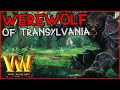 Werewolf of Transylvania | Warcraft 3 | ZOOM IS A GOD TIER ROLEPLAYER