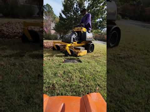 #lawncare Mulching leaves