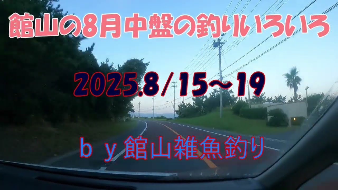 館山の8月中盤の釣りいろいろ　2025.8/15～19　ｂｙ館山雑魚釣り