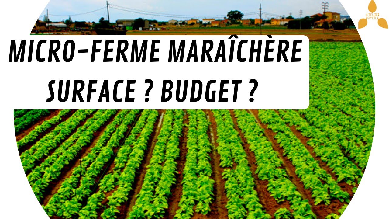 🚜 Micro-ferme maraîchère : quelle surface et budget minimum ? 💸