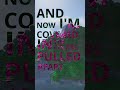 Colors Minecraft Edit