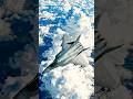 Most Powerful Fighter Jets in the World #military #shortvideo