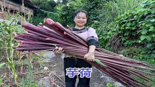 Download Lagu 只为做一道下饭菜,老表带秋子进村找芋荷,邻居大姐看到后喊到地里随便割,慷慨相送,最后拉了一大车回家 MP3 Download Lagu 只为做一道下饭菜,老表带秋子进村找芋荷,邻居大姐看到后喊到地里随便割,慷慨相送,最后拉了一大车回家 MP3
