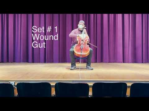 Pirastro Olive gut cello A and D strings vs. Larsen Il Canone warm and broad Bach Bourrées E-flat M