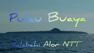 Pulau Buaya Kalabahi Alor NTT