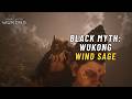 How the Yellow Wind Sage Almost Made Me Rage Quit Black Myth Wukong