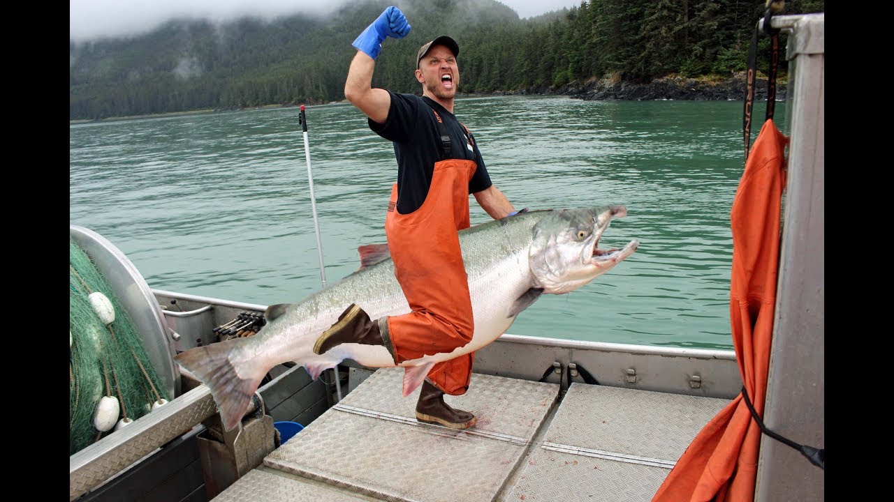 Commercial Salmon Fishing SE Alaska (good time edit) 