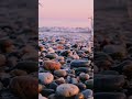 #OceanASMR #WaveSounds #BeachASMR #DawnBeach #NatureASMR #OceanWaves #MorningVibes #SoothingSounds