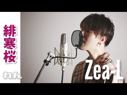 【日本×フランスのクォーターが歌う】♪緋寒桜 / れん　-Covered by Zea-L-