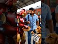 #ironman #ExplorePage #DailyDoseOfCute #SmallBusinessdog #FunnyAnimals #InstagramReels #ViralVideo