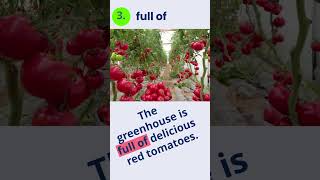 5 Most Common ADJECTIVES with Prepositions in 40 SECONDS