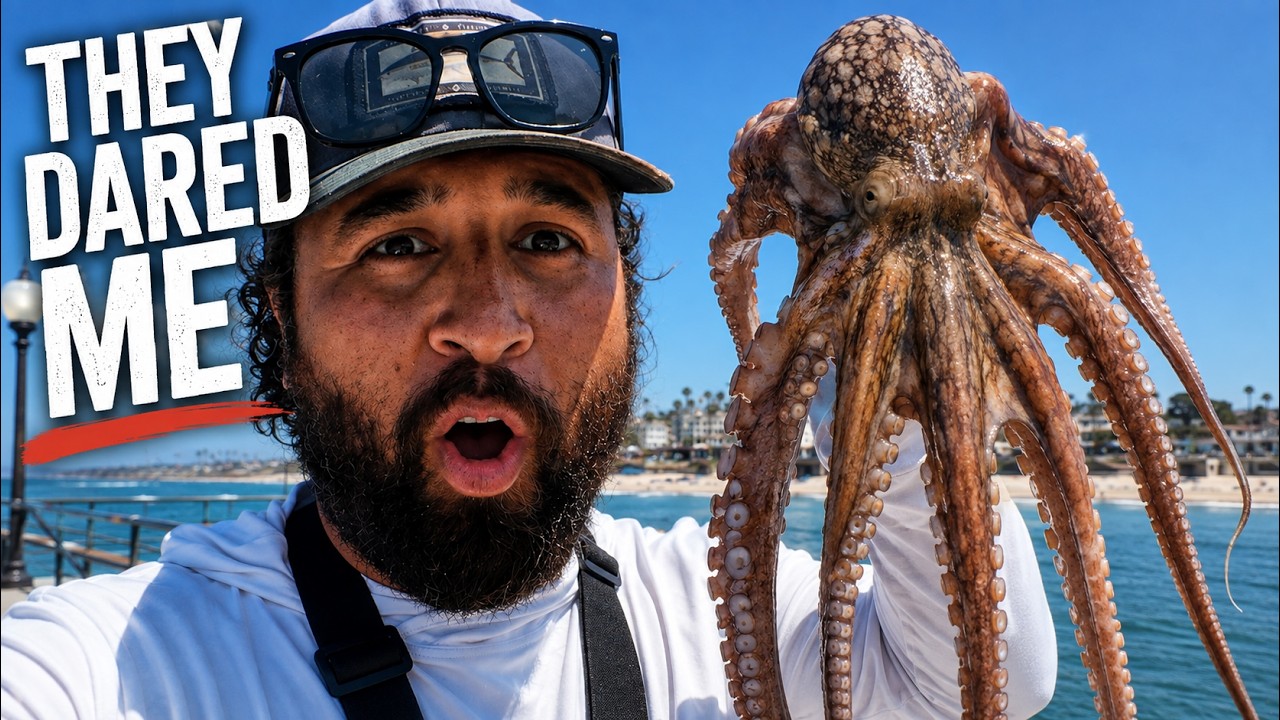Redondo Beach Pier Fishing: Octopus, Calico Bass & Opaleye.