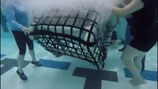 Office of Aviation Services, Alaska Region, Water Egress Training