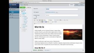 Celebrity SilverStripe CMS Overview Net Worth
