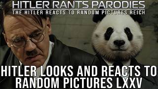 Hitler Looks And Reacts To Random Pictures Lv