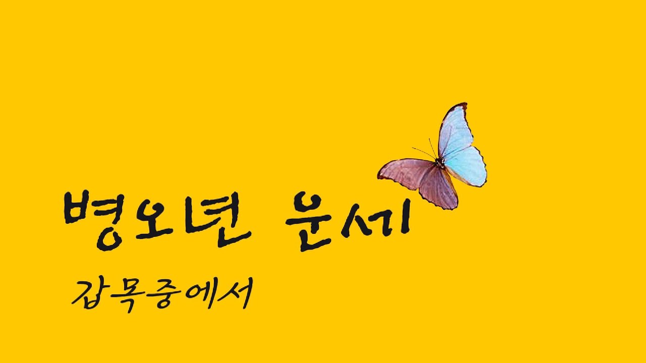 병오년 신수  -  갑목