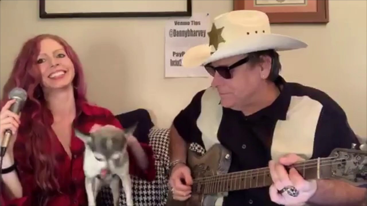 Chihauhau destroys live Stream - Danny B Harvey & Annie Marie Lewis