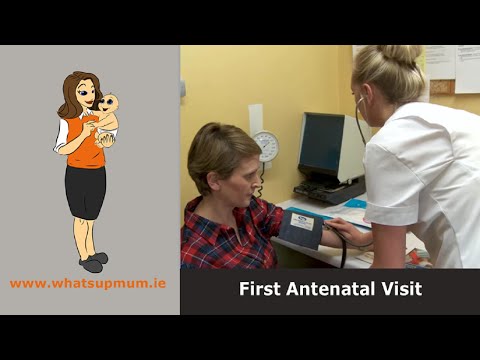 First Antenatal Visit