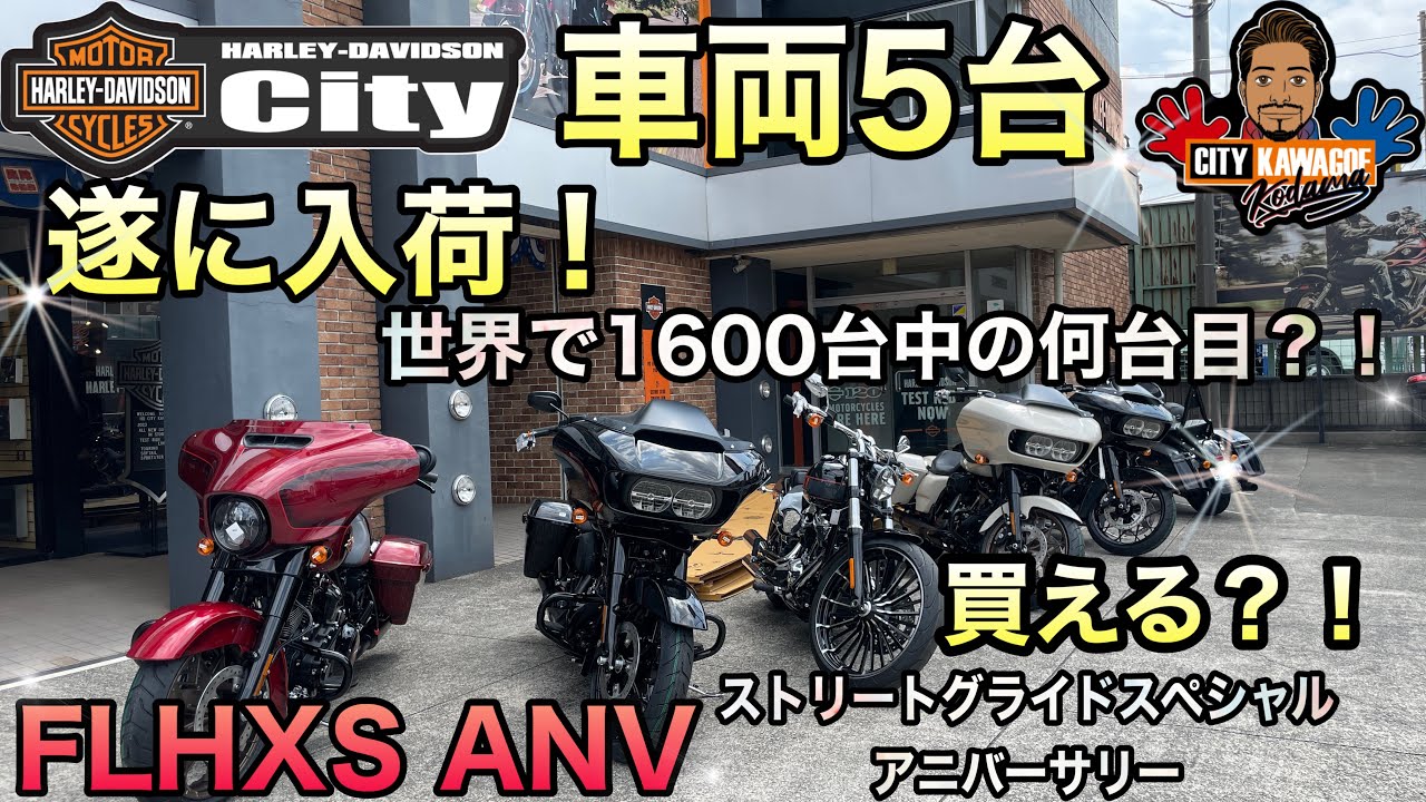 World Limited Edition Vehicle] 120th Anniversary Street Glide