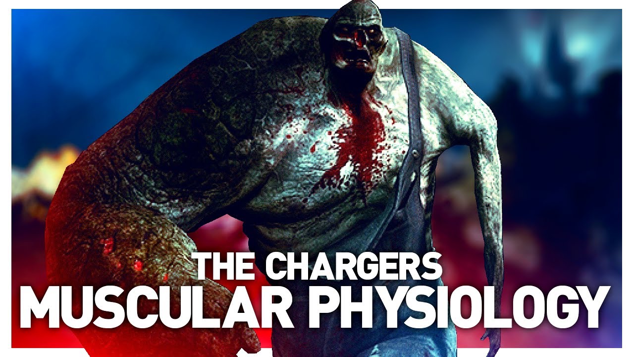 Зарядное устройство из L4D2: объяснение роста мышц | Как правая рука выросла за счёт левой