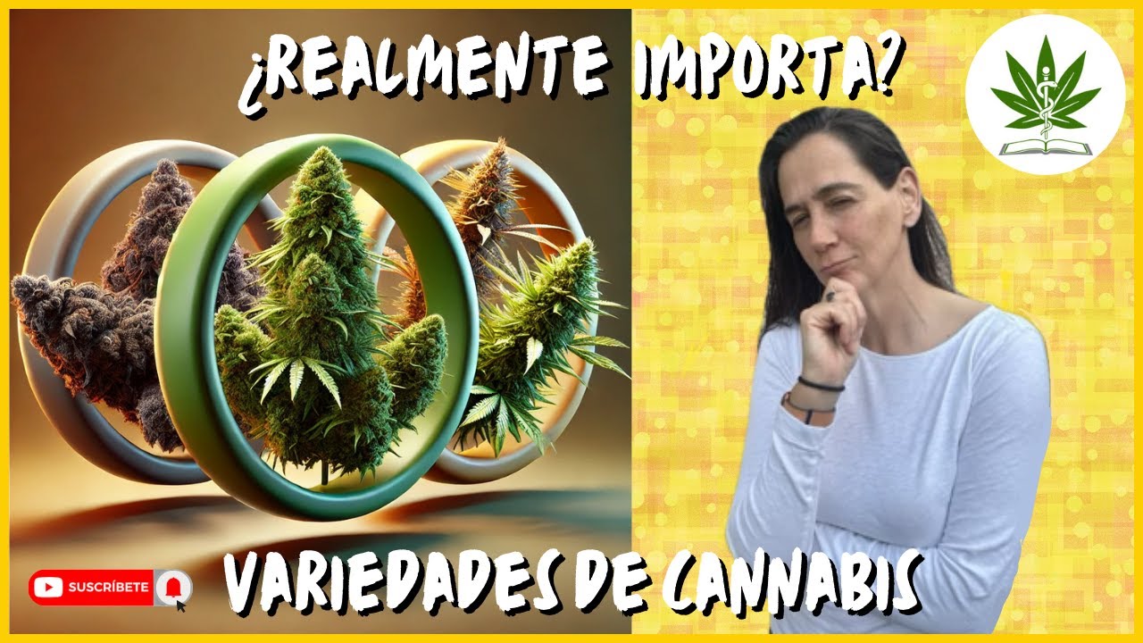 Diferencias CLAVE Entre Cannabis sativa, índica, afganica y ruderalis