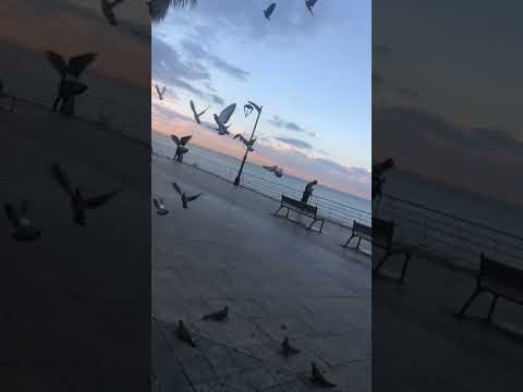 لي بيروت فيروز لبنان فيروز