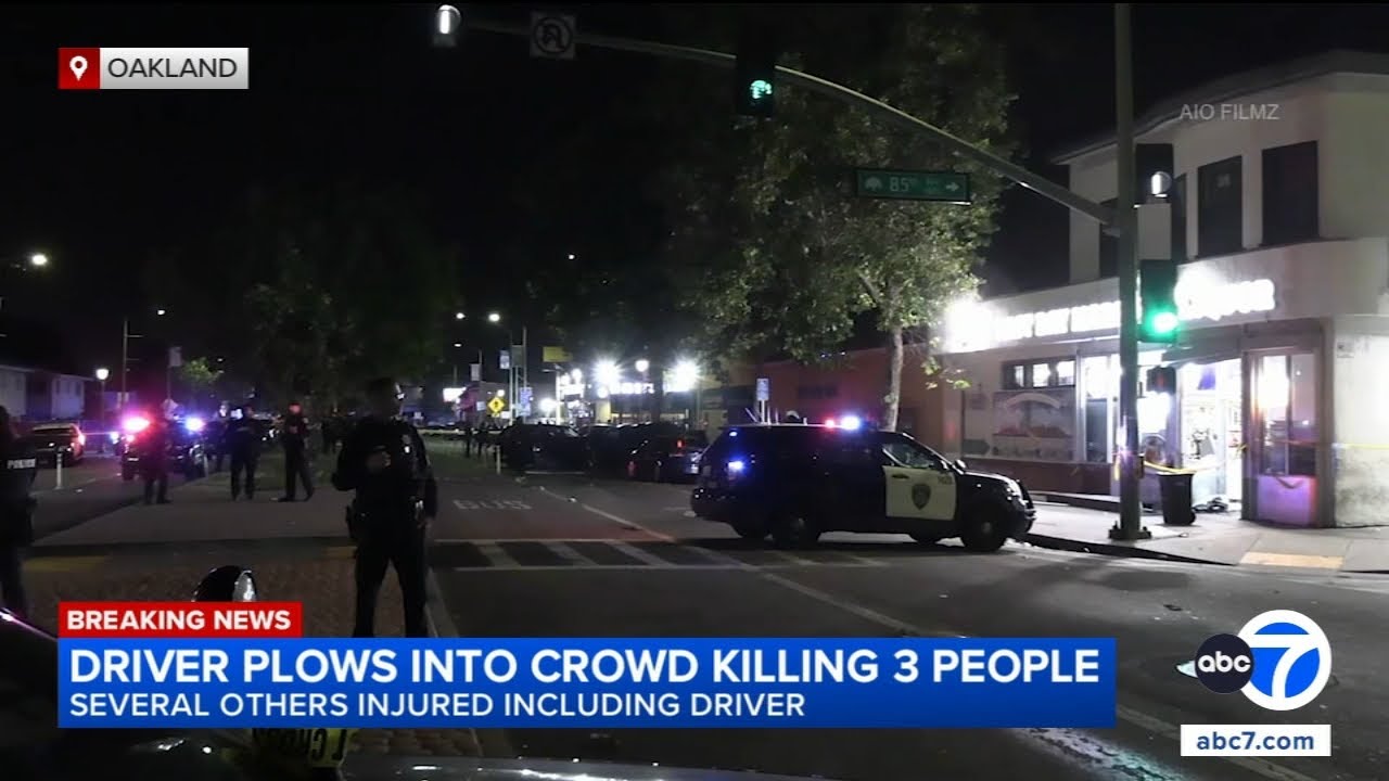 3 dead, several others injured after driver plows into pedestrians ...