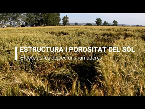 Vídeo: Què és la porositat del sòl?