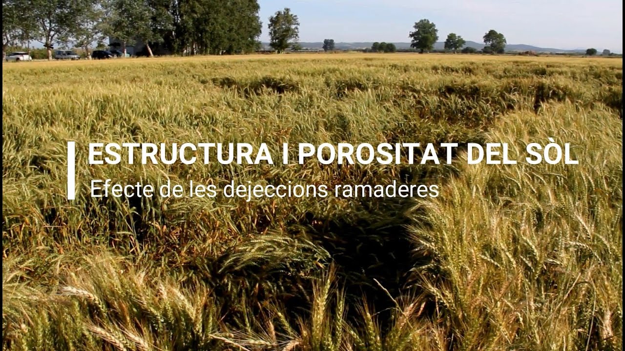 Estructura i porositat del sòl