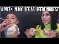 A WEEK IN MY LIFE AS LIFEBEINGDEST 2019
