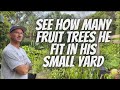 Growing fruit trees in small spaces