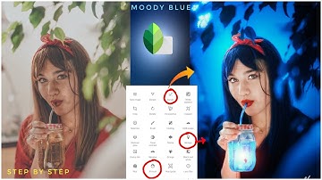 Snapseed Moody Blue Photo Editing | Snapseed Photo Editing | Snapseed Background Colour Change