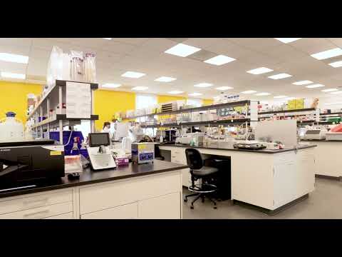 Prime Labcorp Woodbridge Nj Top Clips - 4958eif