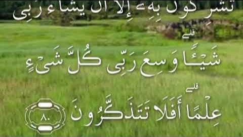سورة الانعام صفحة ١٣٧ مكتوبة مكررة بصوت الغامدي