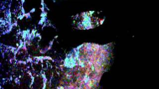 DSCF5365.AVI