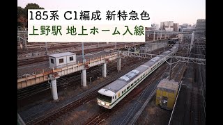 185系 C1編成 新特急色 伊豆急行方面団臨『わんだフルTRAIN』送り込み回送 上野駅地上ホーム入線