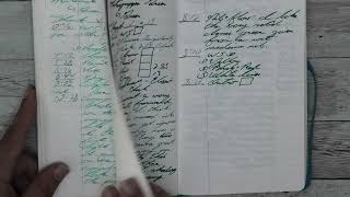 Hippo Noto Notebook Tomoe River 68gsm paper Fountain Pen Ink #fountainpenink #fountainpens