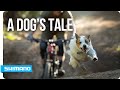 A Dog's Tale | SHIMANO