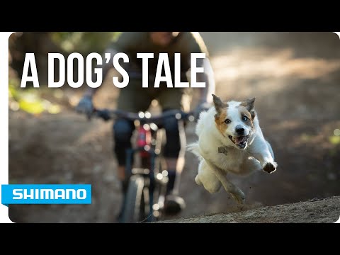 A Dog's Tale | SHIMANO