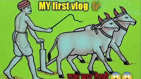 MY First Vlog || My first vlog viral trick || @ActiveRahul 🇮🇳❤️ @Mmsmoneys