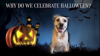 Dog 101 - WHY DO WE CELEBRATE HALLOWEEN? by Evil Lord Gaming 20 views 2 years ago 11 minutes, 22 seconds