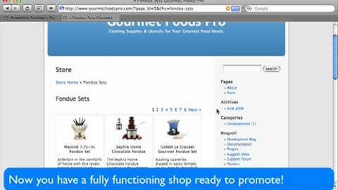 How to Build Affiliate Store on Wordpress Simply