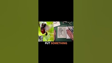 Drawing Is Comparing and Adjusting—That’s It #substack #shorts