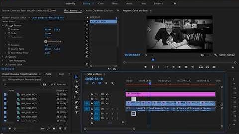 Applying effects to multiple clips tutorial