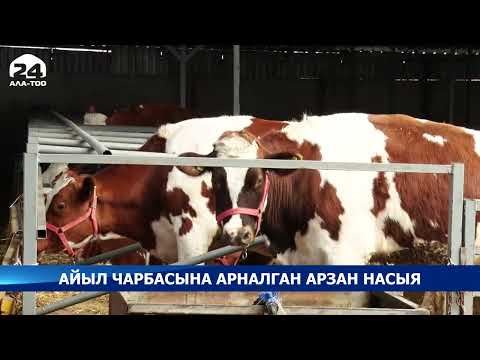 Video: Ааламдашуу айыл чарбасына кандай таасир этет?