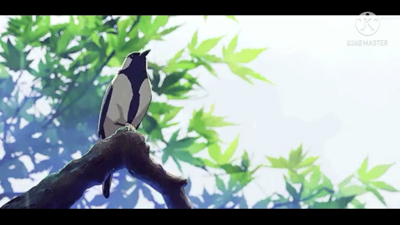 انشودة بائعة الورد 💐بدون موسيقى