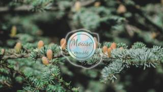 Download Lagu Dj Quads - Dreams | Mouse Music | No Copyright MP3