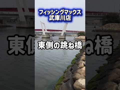 フカセ釣り、エビ撒き釣りで良型チヌ! fishing max武庫川店