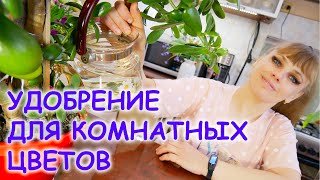 ЙОД для комнатных растений / Зачем нужен ЙОД для комнатных растений!