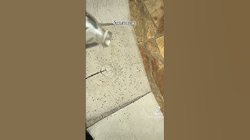 Concrete sealing. If it’s aggregate we seal it .. Facts !